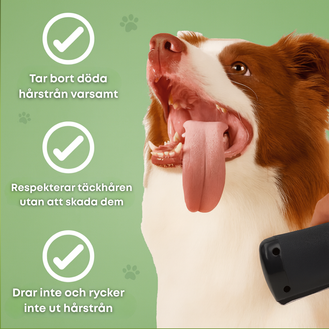 Pälso™ – Skonsam Hundborste mot Fällning