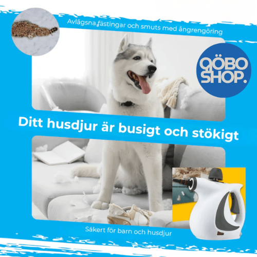 NordSteam™ Pro | Rengör på djupet utan kemikalier – bara kraftfull ånga