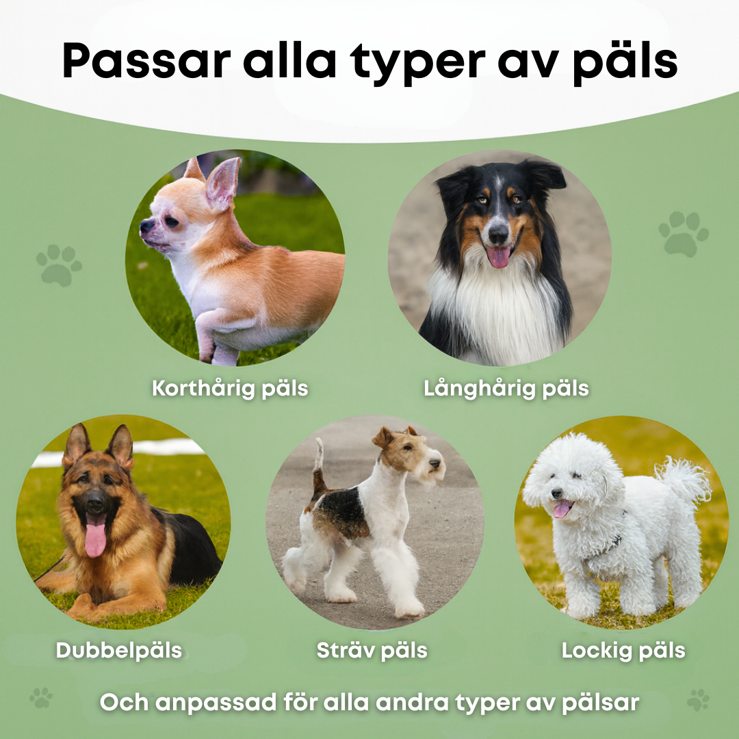 Pälso™ – Skonsam Hundborste mot Fällning